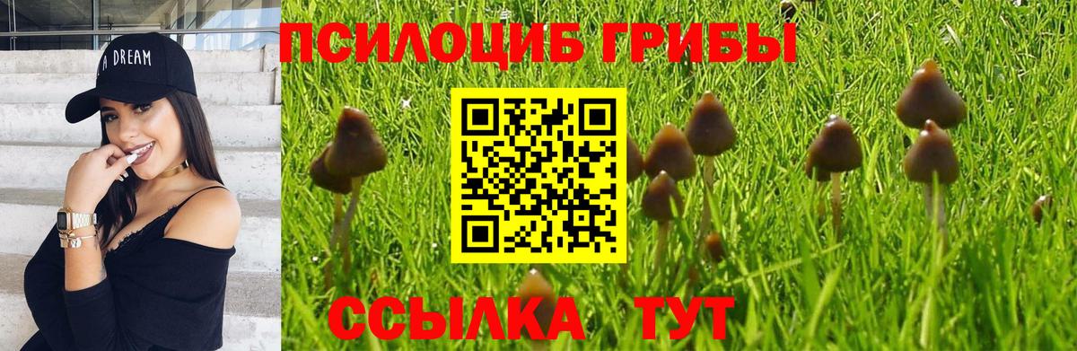 Галлюциногенные грибы MAGIC MUSHROOMS  Вход с VPN  Егорьевск 